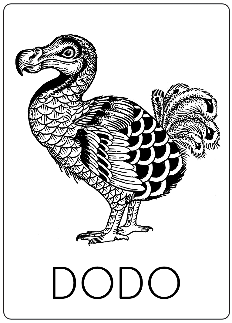 Dodo