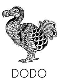 dodo